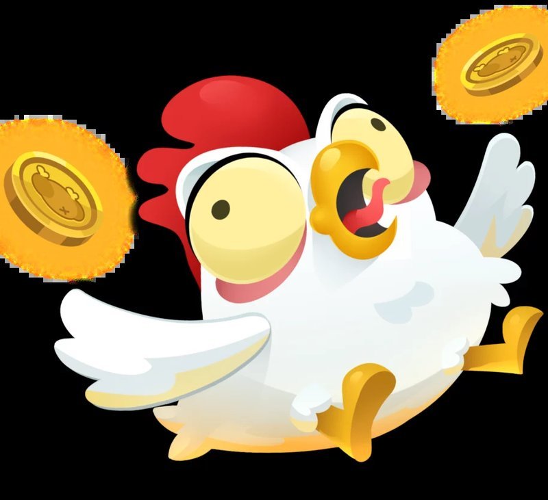 A look at chicken road game
